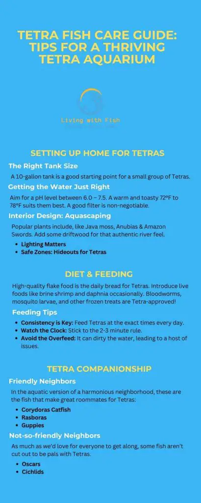 Tetra Fish Care Guide Tips